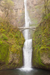Fototapeta premium Multnomah Falls and Benson Footbridge