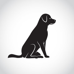 Vector of a dog labrador on white background. Pets. Animals.