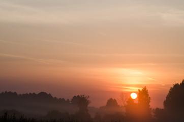 foggy morning in countryside