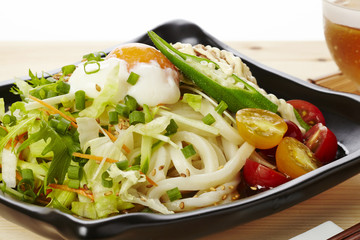 サラダうどん