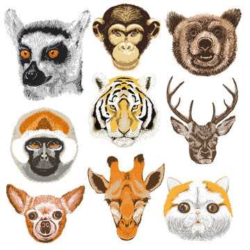 Set of animals, lemur, monkey, chimpanzee, bear, tiger, deer, dog