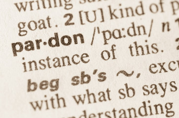 Dictionary definition of word pardon