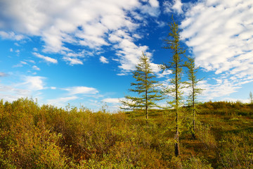 Beautiful landscape in Taimyr, Russia