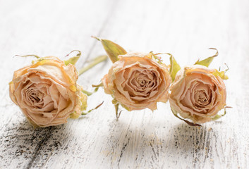 Dry roses on background of shabby wooden planks