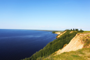 forest landscape in summer europe pine