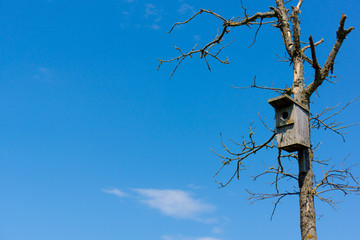 Birdhouse