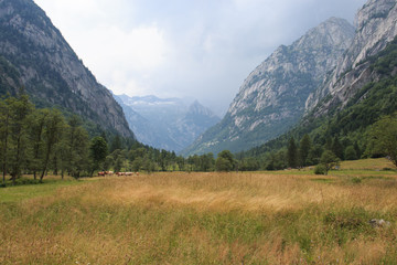 Obraz premium val di Mello