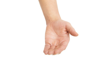 human hand or palm 
