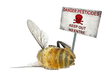Dead honey bee and the danger warning poster