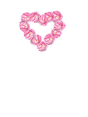 Rose on a white background