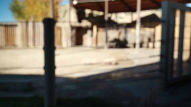 a baby boy and mother at the zoo looking at elephants