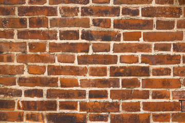 レンガの壁の背景 Brick wall  background