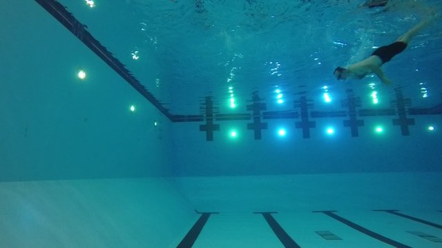 Slow motion of swimmer in pool underwater side shot