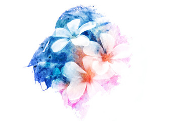 Flower watercolor illustration.