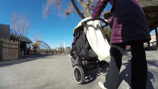 a mother walks son in stroller at zoo