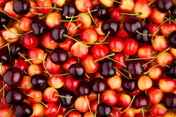 cherry