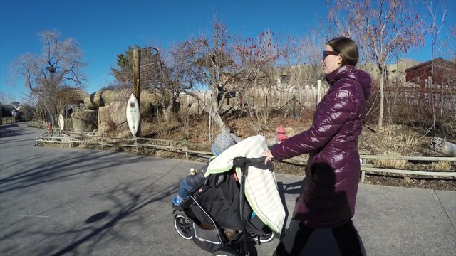a mother and son with stroller at zoo