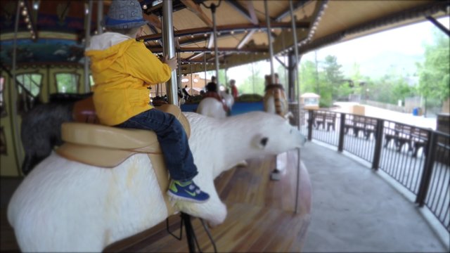 A toddler riding carousel at the zoo