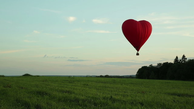 hot air balloons flying over field in countryside