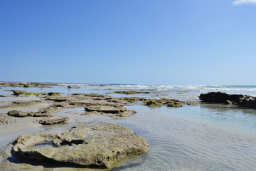 Australia mare Broome