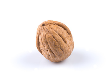 Dried walnut
