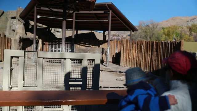 a baby boy and mother watching elephants at the zoo