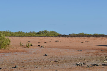 Fototapeta na wymiar Australia mare Broome