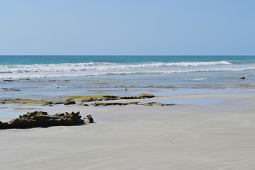 Australia mare broome