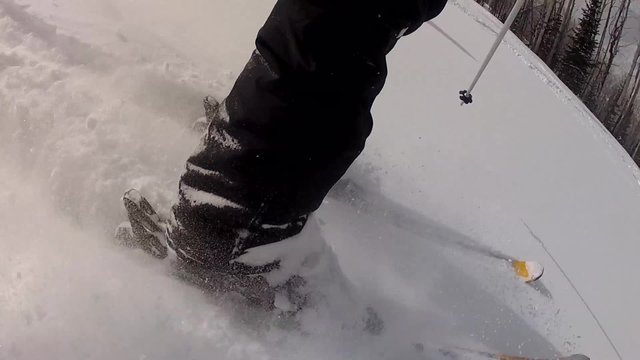 skis throwing up powder