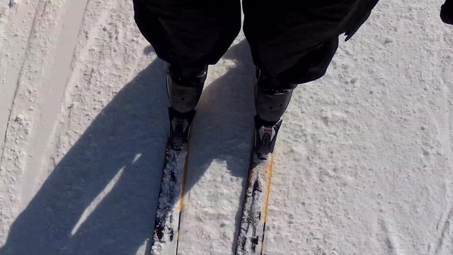 legs and skis