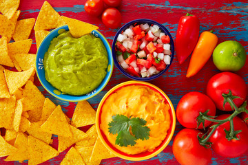 Mexican food nachos guacamole pico gallo cheese