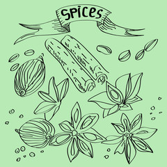 illustration a spices