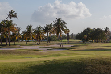 Golf club. Fields golf course.
