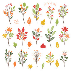 Colorful floral collection with leaves and flowers, autumn leaves