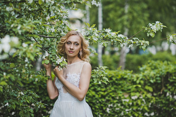 The beautiful girl in a dress among blossoming trees 3140.