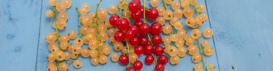 red and white currants on a blue board