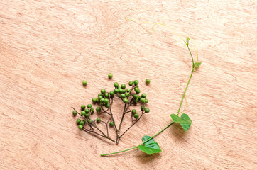 Fototapeta na wymiar Zanthoxylum and Coccinia grandis is Thai herb that use in food