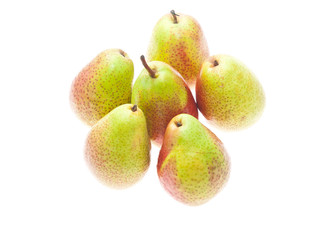 forelle pears
