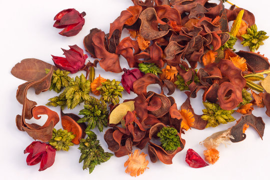 The Dried Flowers And Herbs On A White Background