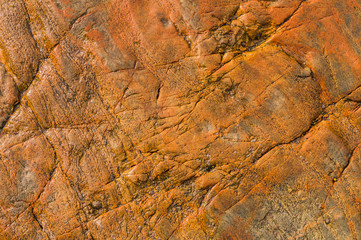 Fond en roche mouillée couleur chaude le Pouldu Bretagne

