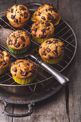Chocolate muffins