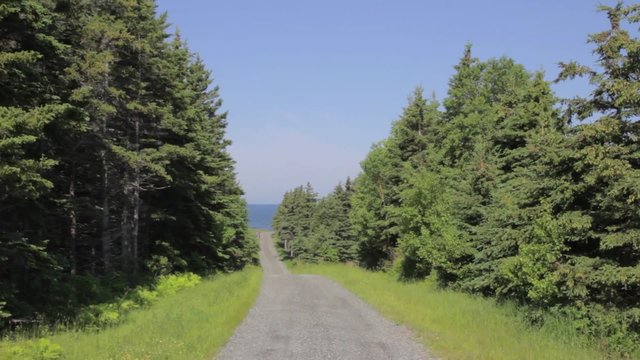 a dirt road surrounded by trees with the ocean at the end