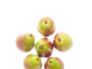forelle pears