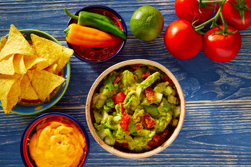 Mexican food nachos guacamole pico de gallo cheese
