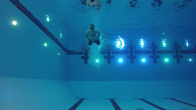 Underwater shot of athlete diving and swimming in pool