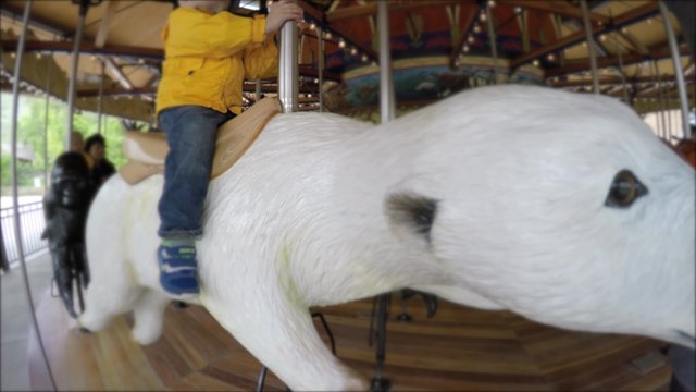 Kids riding carousel at the zoo