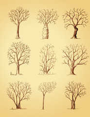 Hand drawn trees isolated, sketch, vintage style trees set