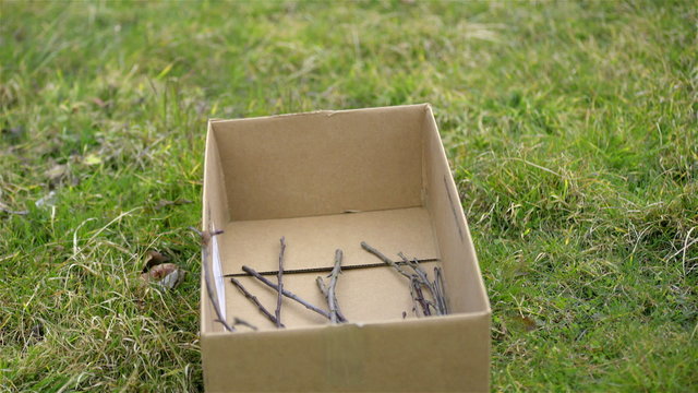 Pruning branches throwing in empty box