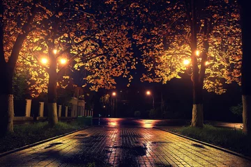 Foto op Plexiglas Autumn night landscape in the park alley trees © kichigin19