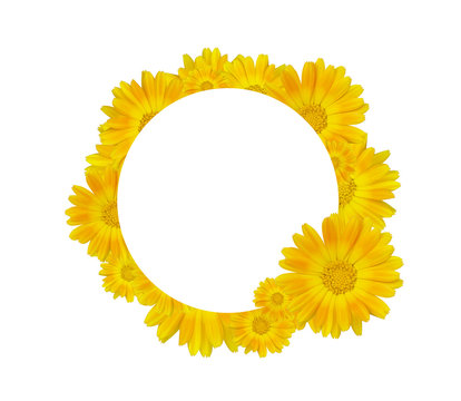Fototapeta yellow flowers, фон желтые цветы